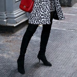 stuart weitzman tiemodel